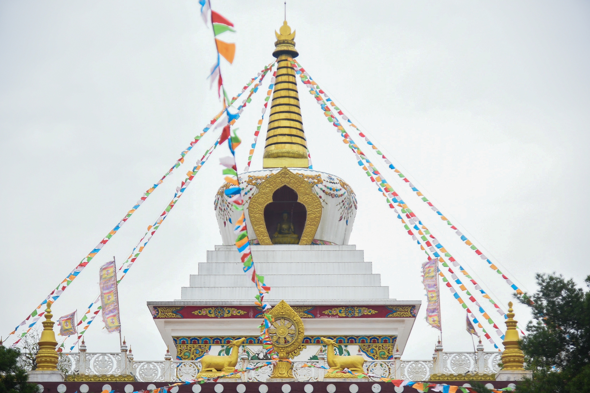 Khám phá ngôi chùa Tây Tạng 600 năm tuổi độc nhất tại Hà Nội - Ảnh 10.