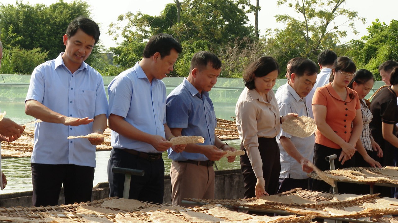 Chuyển đổi số trong hoạt động của Hội Nông dân tỉnh Ninh Bình, hỗ trợ hội viên dán tem truy xuất nguồn gốc nông sản - Ảnh 1.