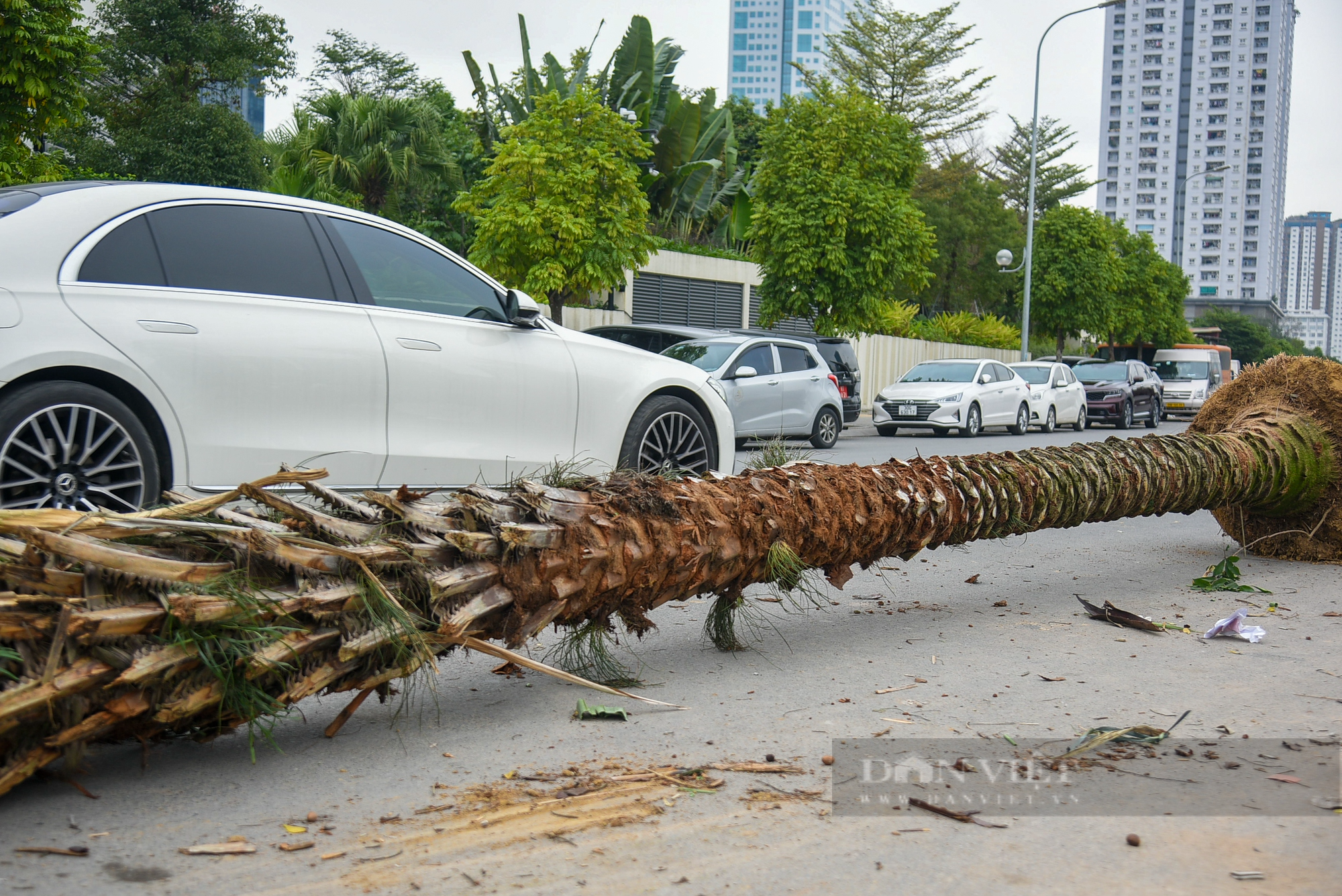 Cận cảnh con đường ở Hà Nội vừa xong đã biến thành bãi rác - Ảnh 6.