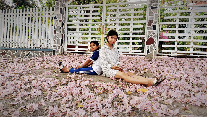 Đường hoa rơi xao xuyến kín mặt đất một màu hồng ở vùng biên giới An Giang, ai cũng mê chụp hình, quay phim - Ảnh 8.