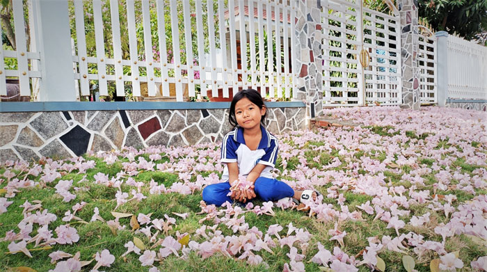 Đường hoa rơi xao xuyến kín mặt đất một màu hồng ở vùng biên giới An Giang, ai cũng mê chụp hình, quay phim - Ảnh 9.