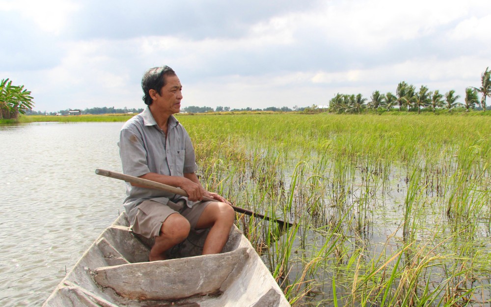 Vì sao nông dân Kiên Giang "khát" nước mặn, thoạt nghe tưởng đâu nói đùa