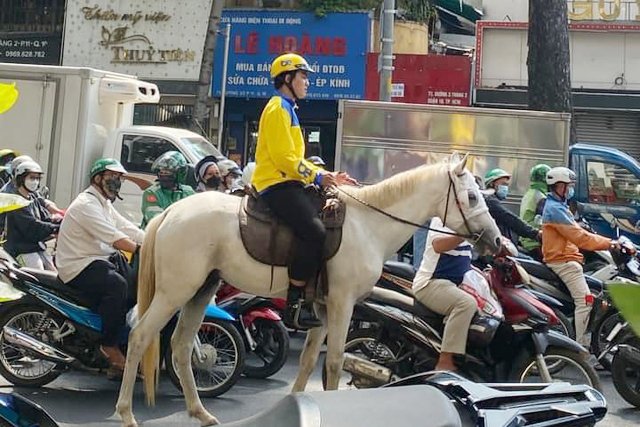 Xử phạt người đàn ông mặc trang phục xe ôm cưỡi ngựa trên đường phố ở trung tâm TP.HCM - Ảnh 1.