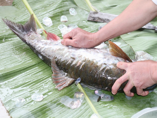 Ở Tuyên Quang có một loại cá làm gỏi đặc sắc cỡ nào mà khiến bao người mê đắm? - Ảnh 3.