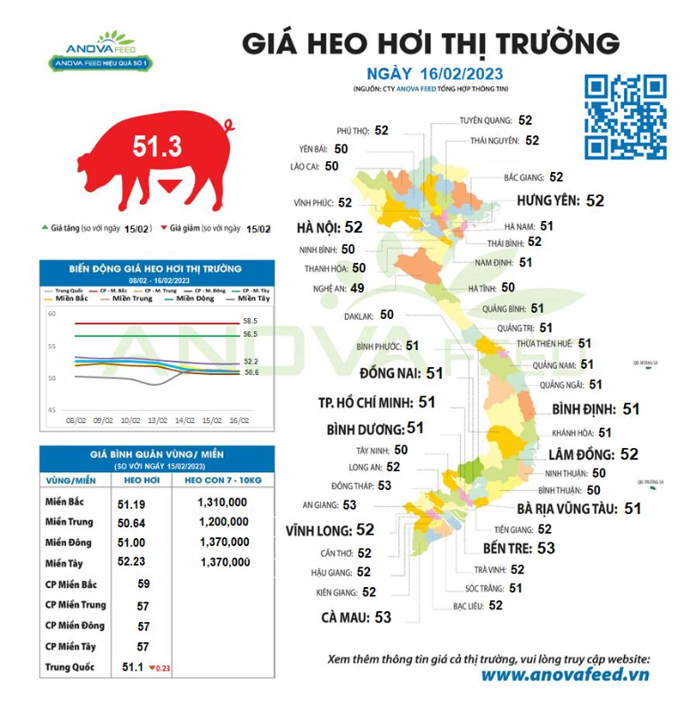 Giá lợn hơi tiếp tục giảm, thị trường khó khăn chí ít là đến hết quý I - Ảnh 1.