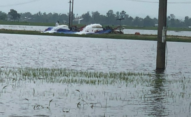 Hàng nghìn ha lúa bị ngập, TT-Huế yêu cầu thủy điện tạm ngừng phát điện để cứu lúa  - Ảnh 1.