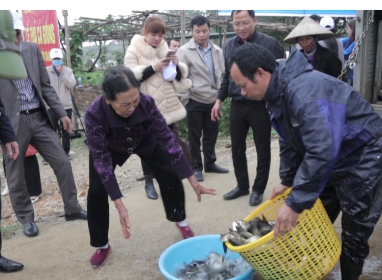 Ninh Bình: Thả gần 2 vạn con cá chép Việt vào vùng nước ngọt tự nhiên - Ảnh 3.