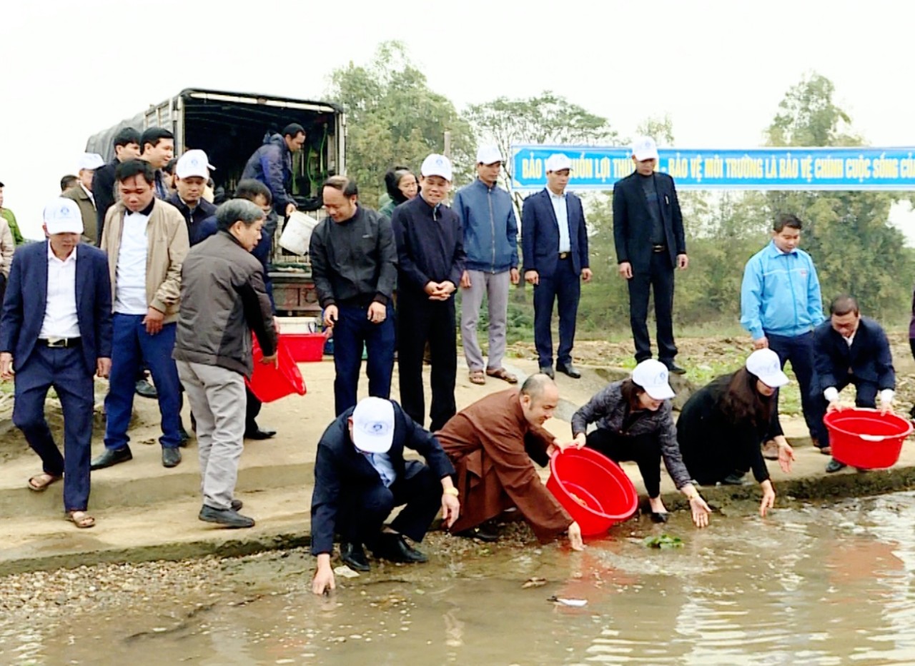 Ninh Bình: Thả gần 2 vạn con cá chép Việt vào vùng nước ngọt tự nhiên - Ảnh 1.