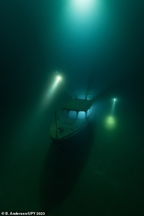 Những bức ảnh dưới biển sâu - Ảnh 3.