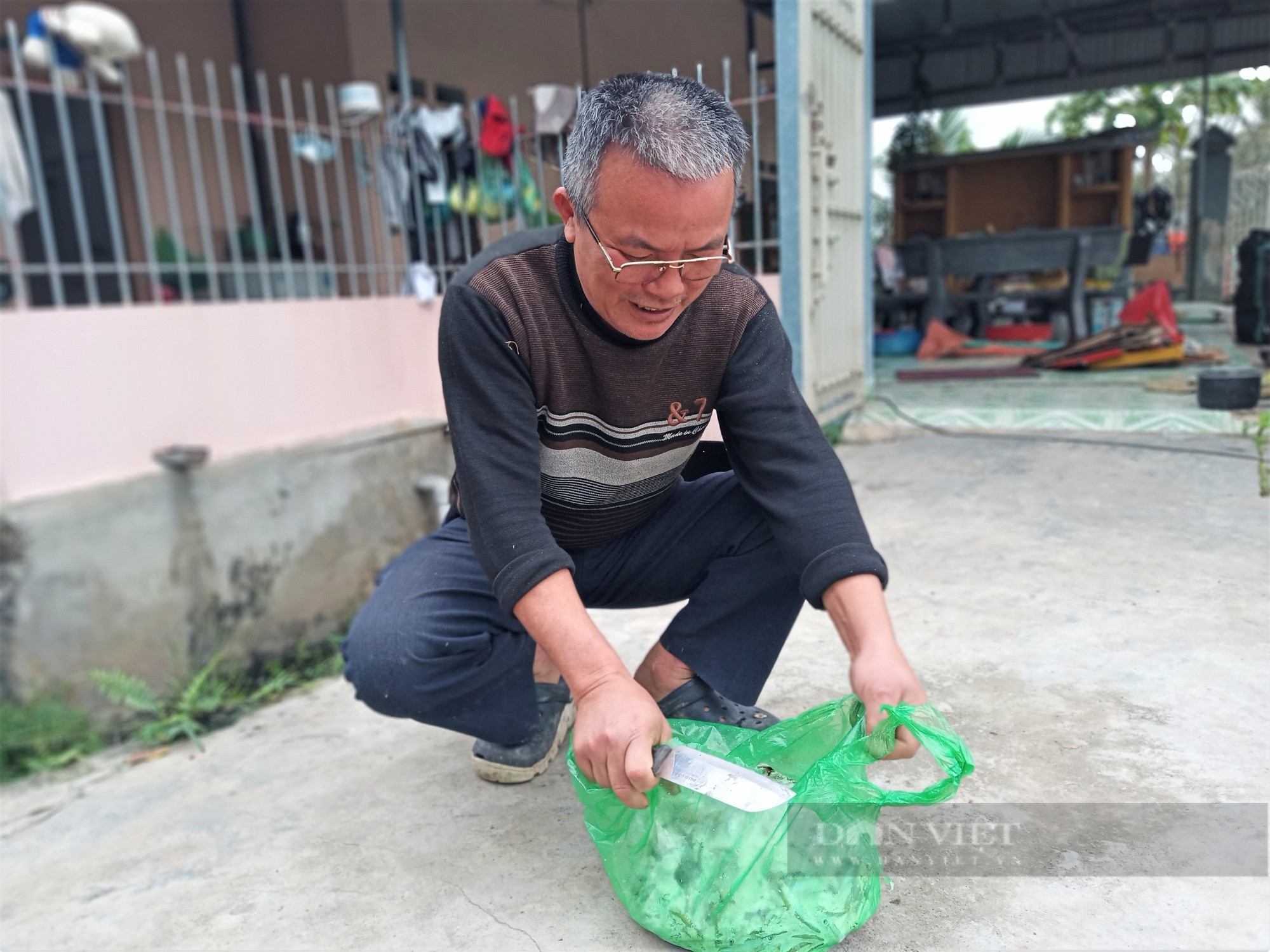 Nuôi loài cá không ai nuôi, ông nông dân này ở Hải Dương chăm sóc nhàn tênh, mỗi năm lãi nửa tỷ đồng - Ảnh 1.