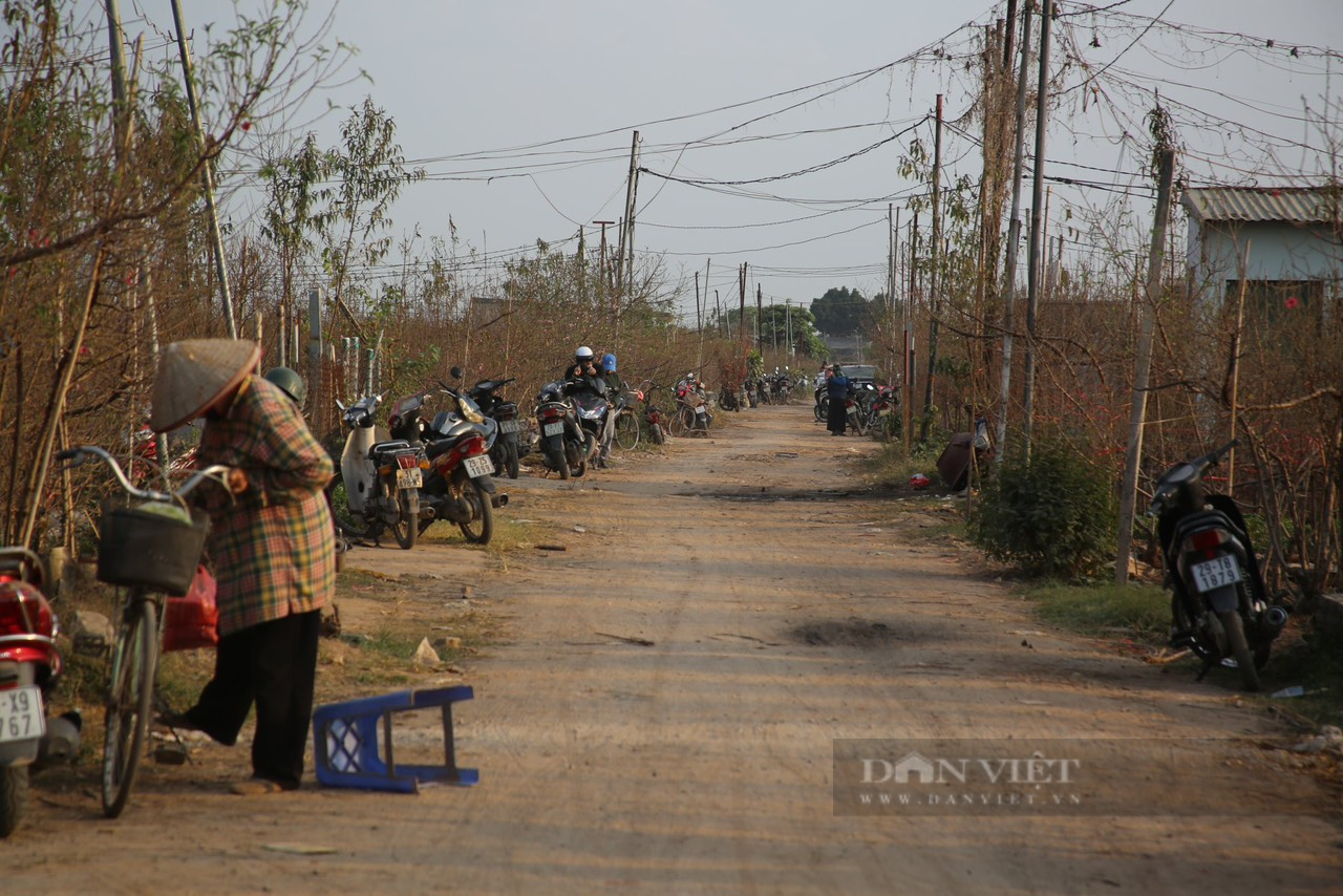 Người đàn ông gần 40 năm vớt xác giữa Thủ đô - Ảnh 4.