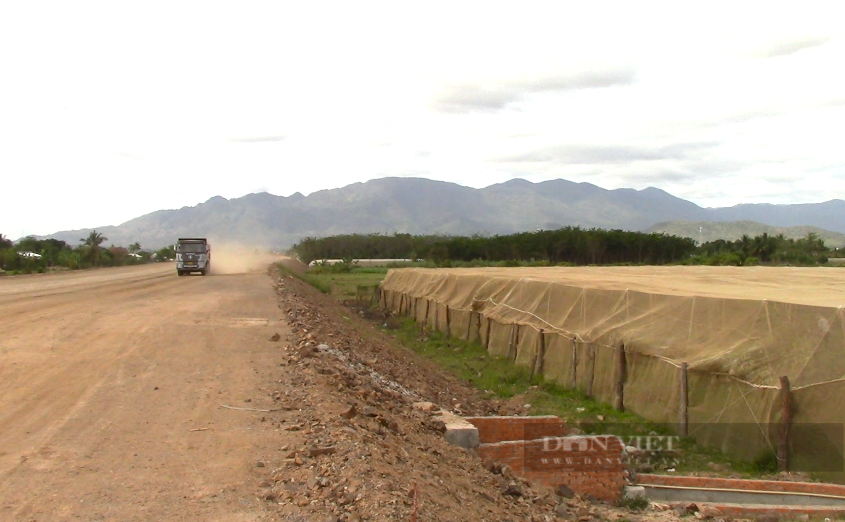 Nông dân Ninh Thuận kêu cứu vì bão bụi từ công trình cao tốc Bắc – Nam tấn công cây trồng gây thiệt hại nặng - Ảnh 5.