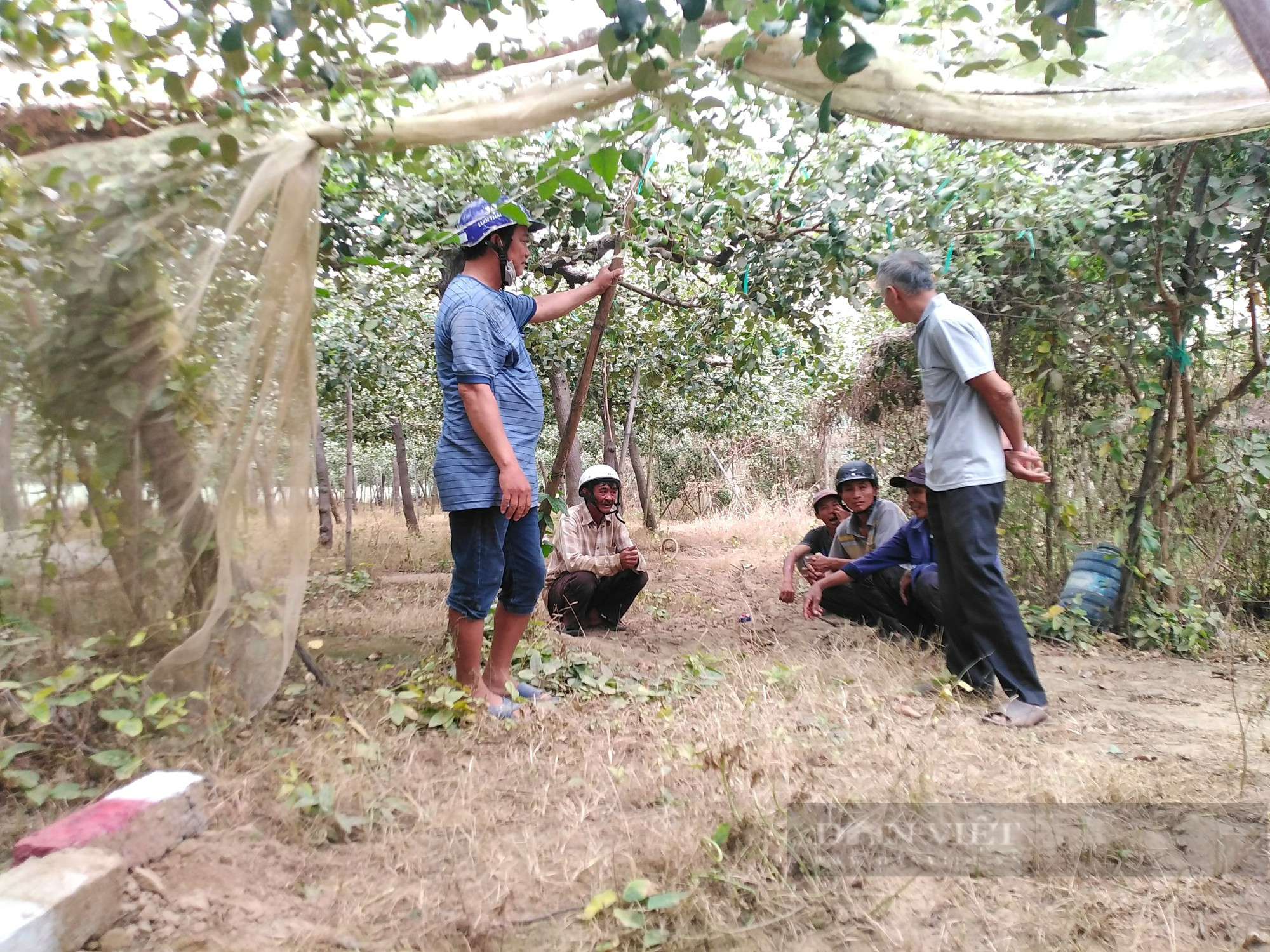 Nông dân Ninh Thuận kêu cứu vì bão bụi từ công trình cao tốc Bắc – Nam tấn công cây trồng gây thiệt hại nặng - Ảnh 6.