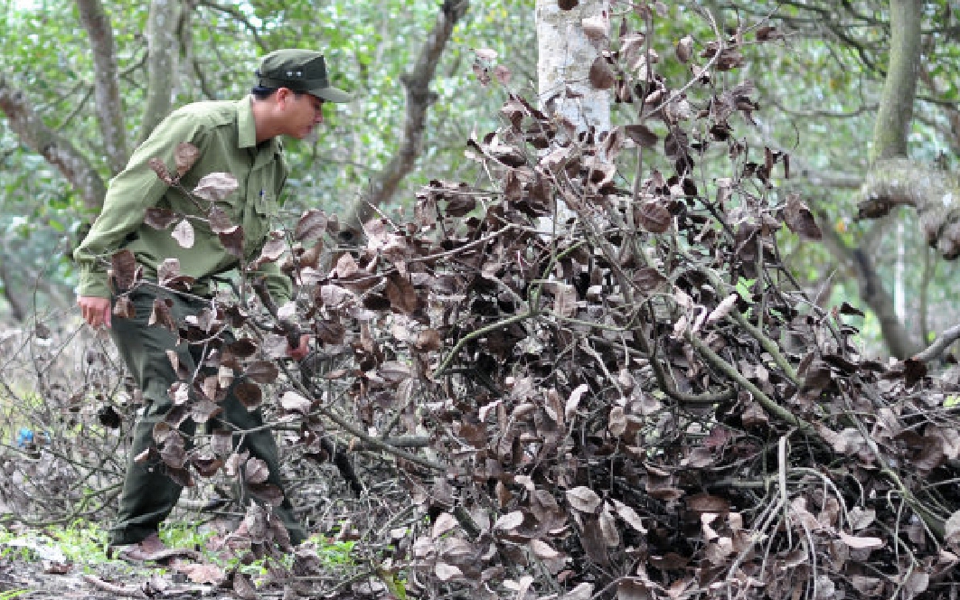 Đồng Nai: Lần đầu tiên khởi tố vụ án chặt phá rừng phòng hộ 