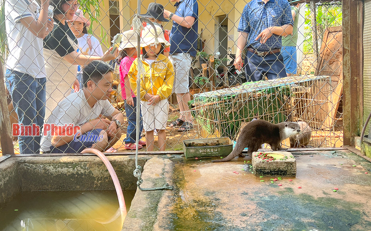 Một khu Vườn quốc gia nổi tiếng ở Bình Phước đang được nhiều người tìm tới xem, có con culi - Ảnh 3.