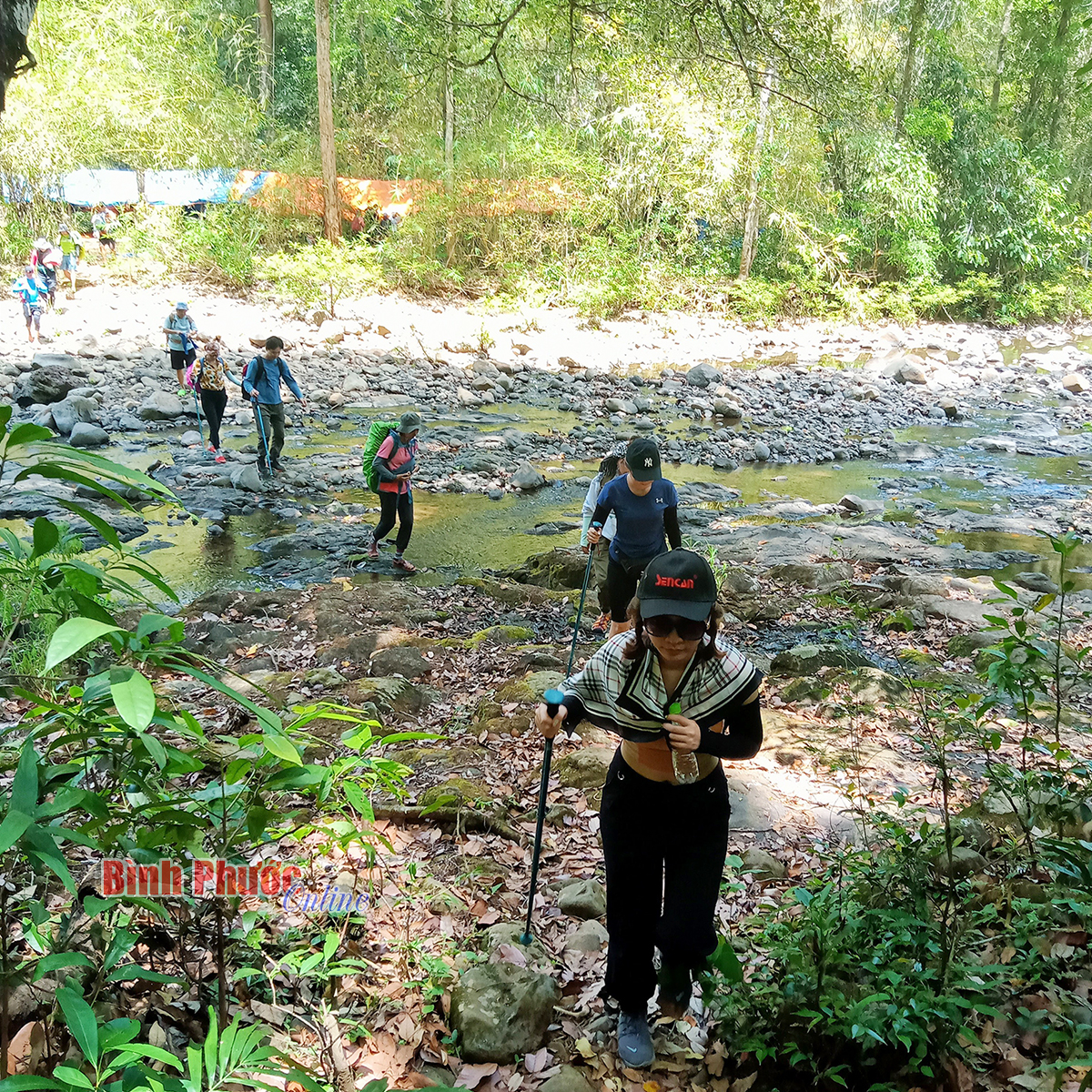 Một khu Vườn quốc gia nổi tiếng ở Bình Phước đang được nhiều người tìm tới xem, có con culi - Ảnh 6.