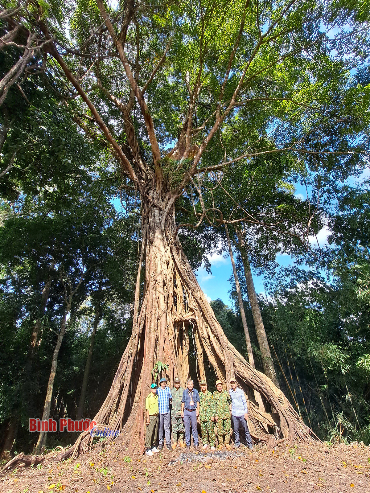 Một khu Vườn quốc gia nổi tiếng ở Bình Phước đang được nhiều người tìm tới xem, có con culi - Ảnh 7.
