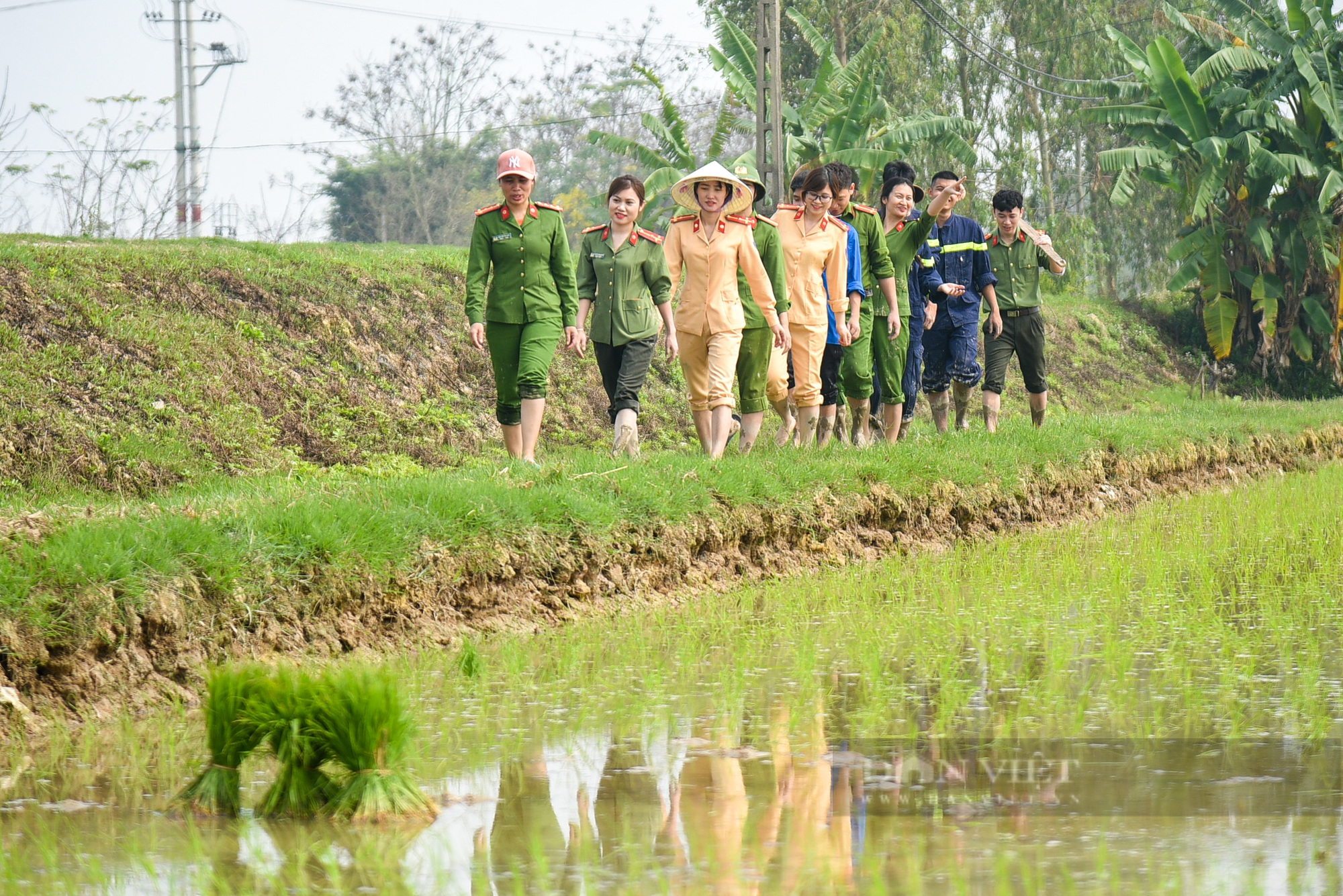 Hình ảnh Công an Thủ đô bì bõm lội ruộng giúp dân cấy lúa vụ Chiêm Xuân - Ảnh 2.