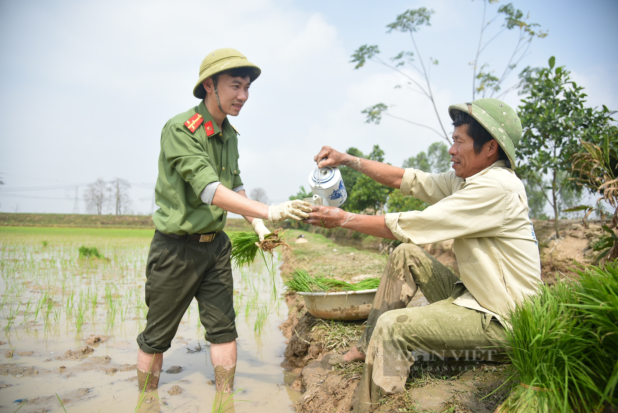 Hình ảnh Công an Thủ đô bì bõm lội ruộng giúp dân cấy lúa vụ Chiêm Xuân - Ảnh 9.