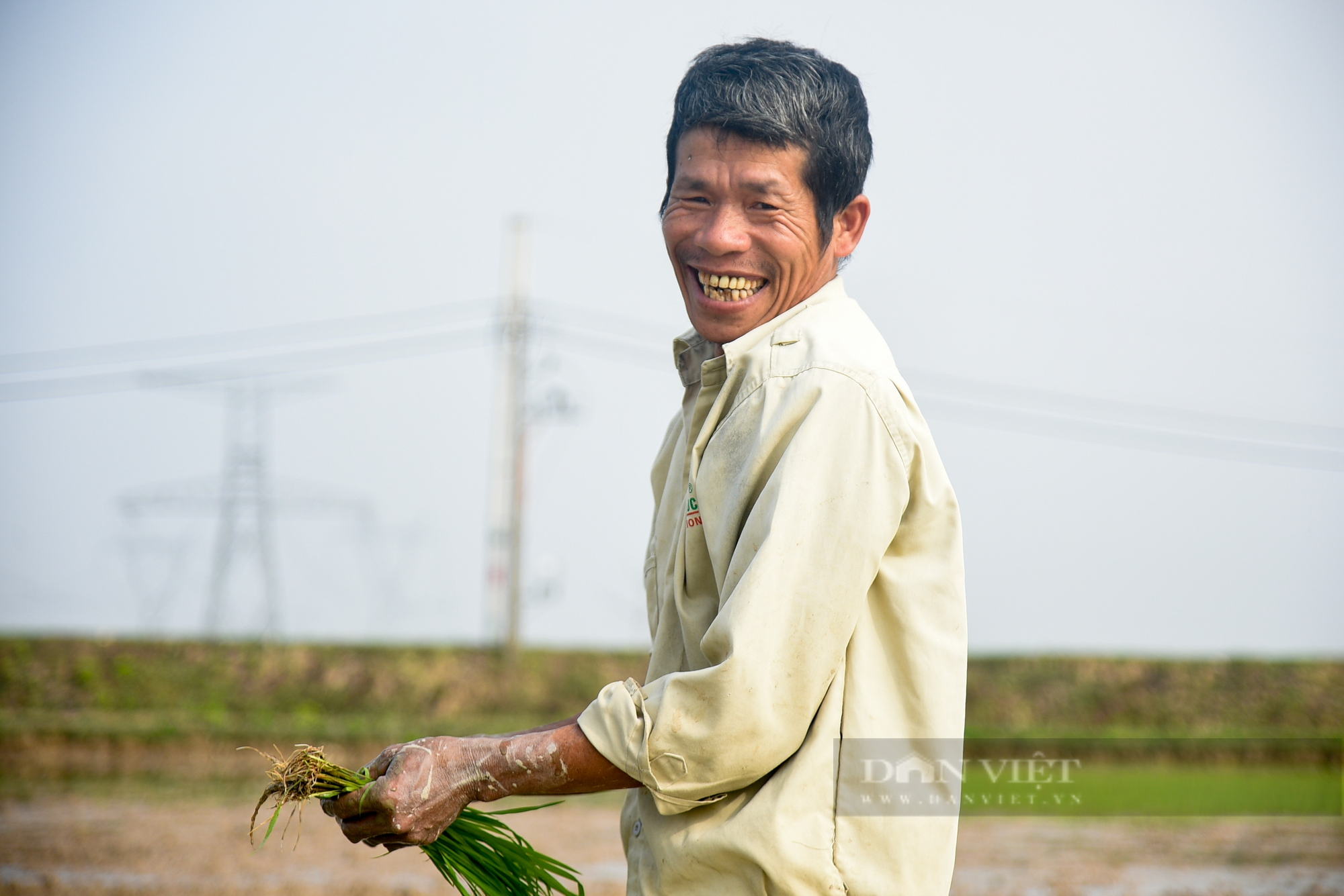 Hình ảnh Công an Thủ đô bì bõm lội ruộng giúp dân cấy lúa vụ Chiêm Xuân - Ảnh 13.