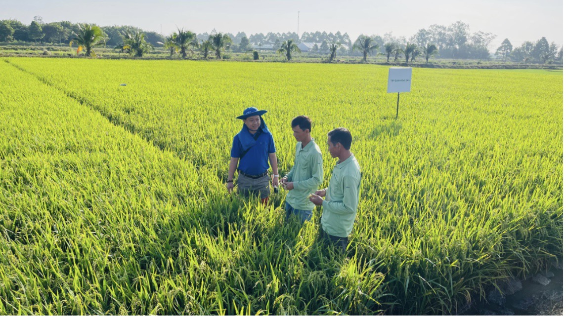 Hội Thảo Công Nghệ Tiên Tiến trong canh tác lúa: Incipio 200SC – Giải Pháp Đột Phá Công Phá Tính Kháng của sâu hại - Ảnh 3.