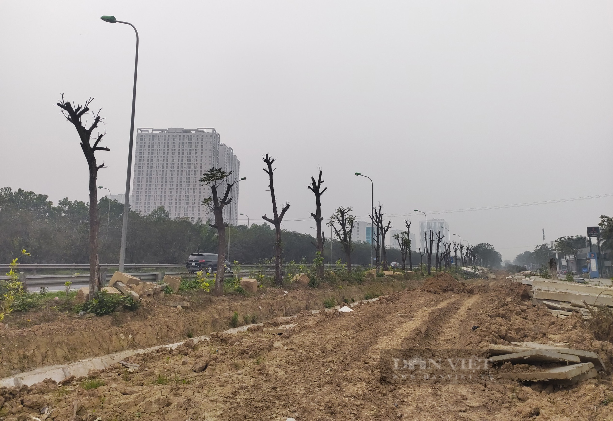 Hà Nội: Hàng trăm cây xanh chết khô ở Đại lộ Thăng Long - Ảnh 7.