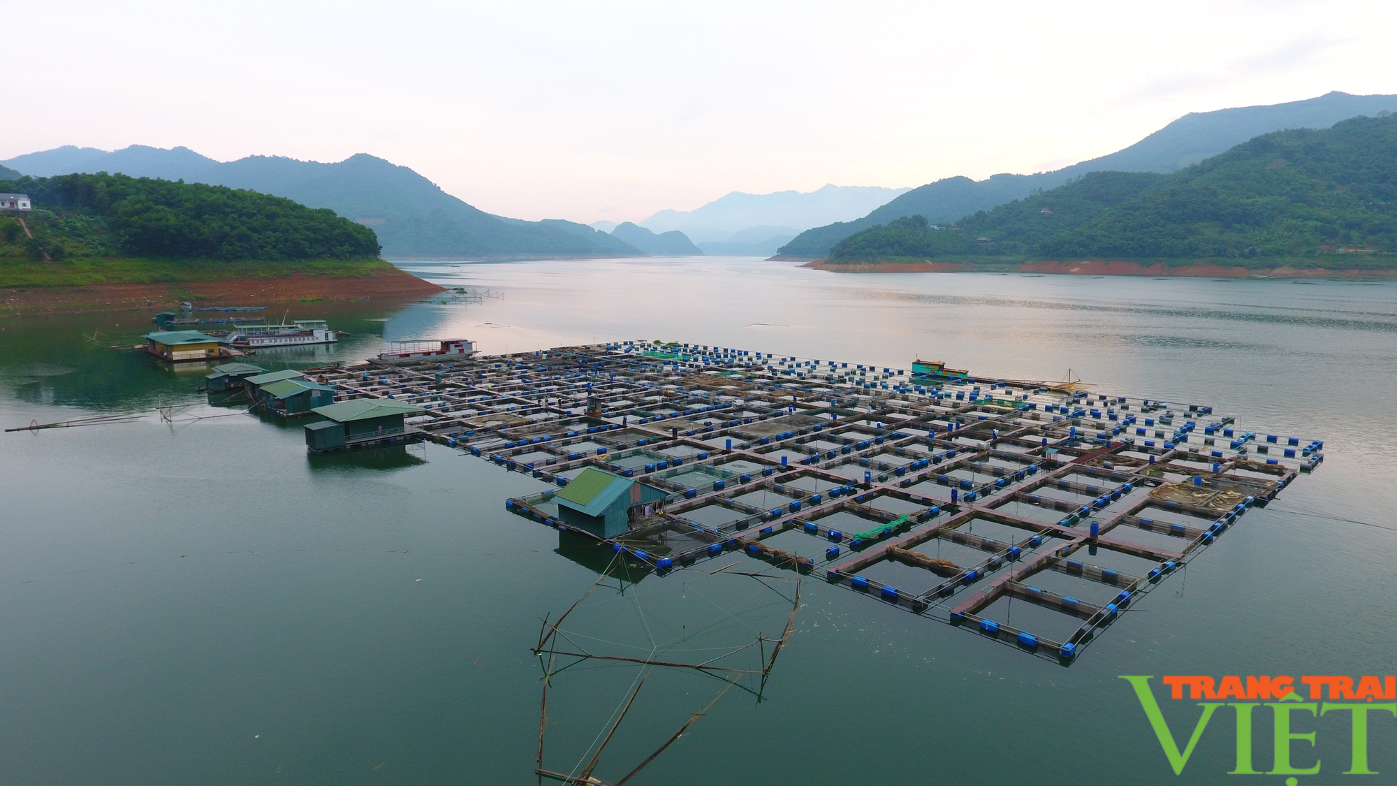Mục sở thị trại cá lồng VietGAP lớn nhất lòng hồ Hòa Bình - Ảnh 9.