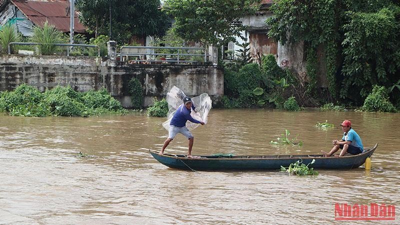 Đây là những loài cá cực ngon khi nước đồng rút ra sông, dân An Giang cứ bắt được là bán hết veo - Ảnh 1.