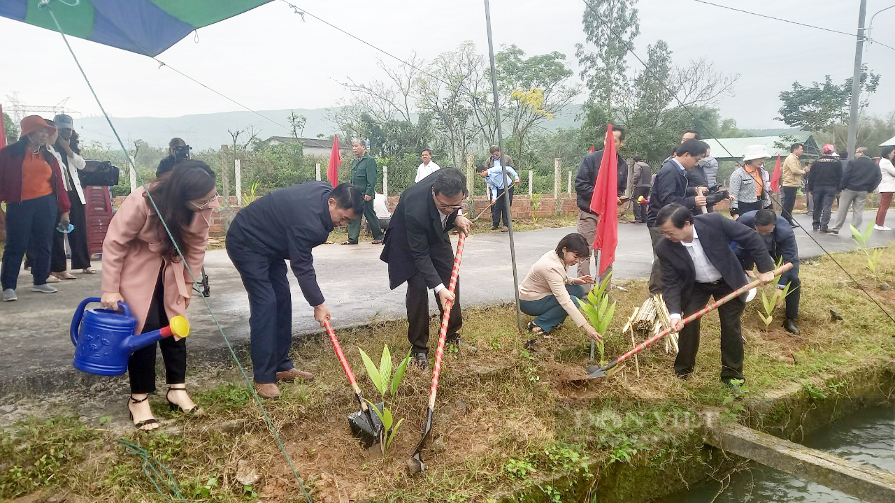 Hội Nông dân TP Đà Nẵng tổ chức Lễ phát động “Tết trồng cây đời đời nhớ ơn Bác Hồ” năm 2023 - Ảnh 1.