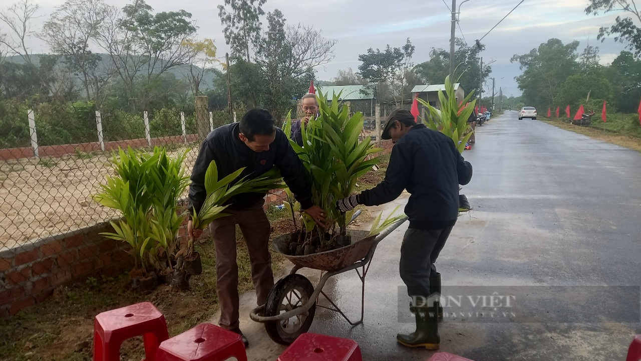 Hội Nông dân TP Đà Nẵng tổ chức Lễ phát động “Tết trồng cây đời đời nhớ ơn Bác Hồ” năm 2023 - Ảnh 4.