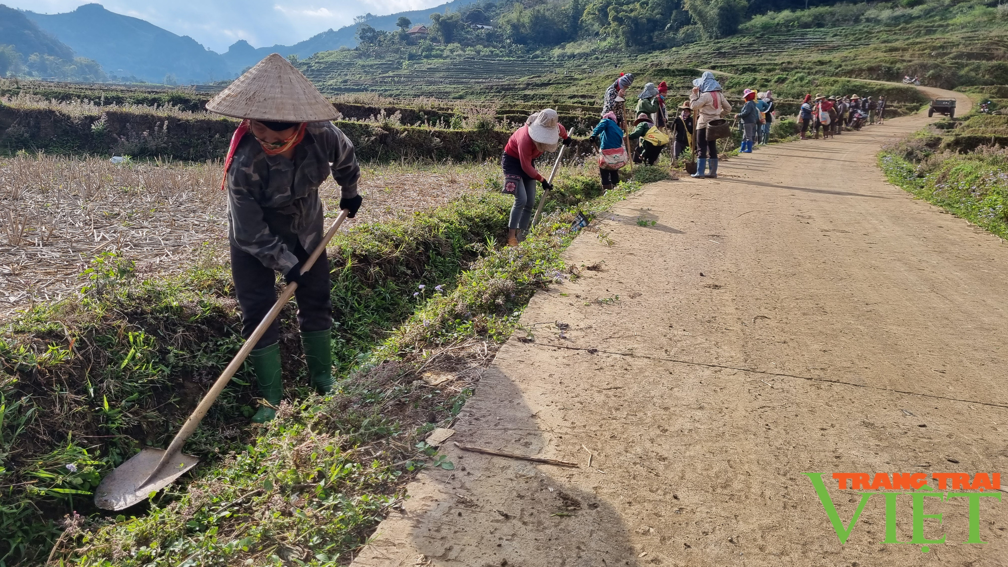 Nông dân với sự phát triển của địa phương - Ảnh 10.