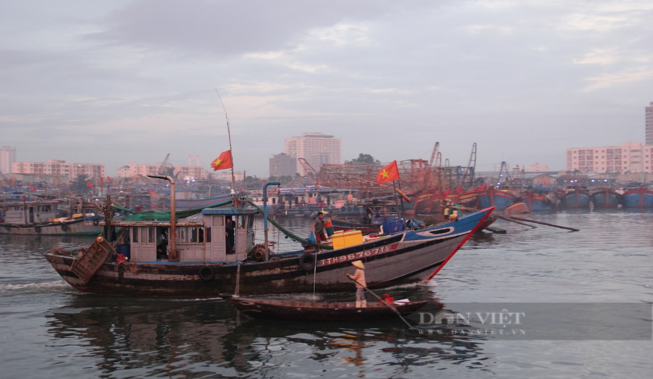 Ngư dân miền Trung chi tiền tỷ vươn khơi đầu năm - Ảnh 9.