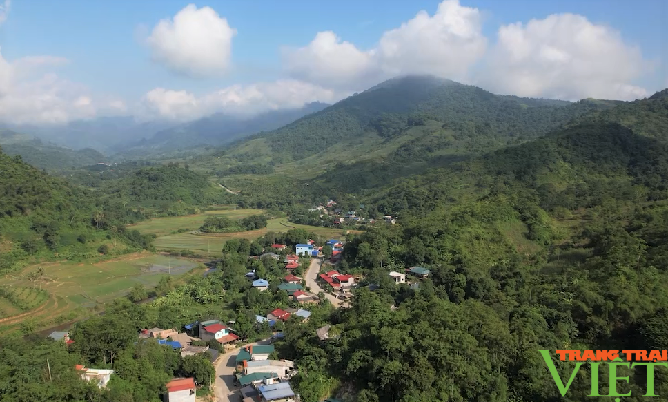 Người Bí thư Chi bộ gương mẫu của bản vùng cao Sơn La - Ảnh 5. Người Bí thư Chi bộ gương mẫu của bản vùng cao Sơn La - Ảnh 5.