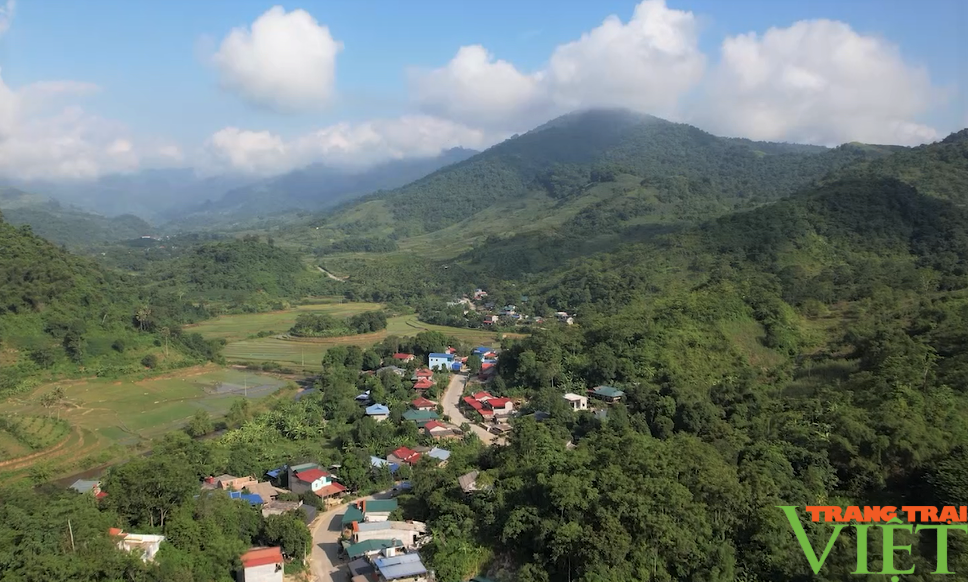 Người Bí thư Chi bộ gương mẫu của bản vùng cao Sơn La - Ảnh 5.