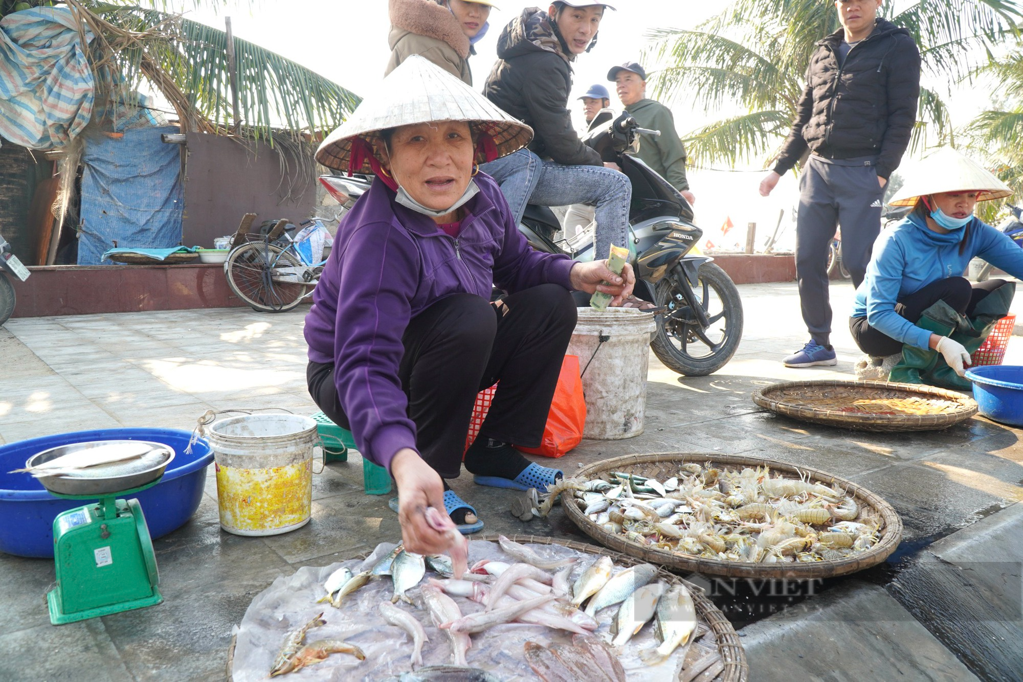 Cá gì mà giá hơn nửa triệu đồng/kg nhưng ngư dân xứ Thanh vẫn không có để bán? - Ảnh 5.