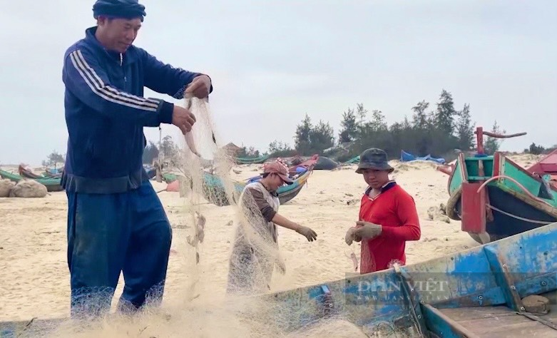 Ra khơi đầu năm, ngư dân Quảng Bình trúng đậm loài cá mềm như cháo, thu tiền triệu mỗi ngày - Ảnh 2.