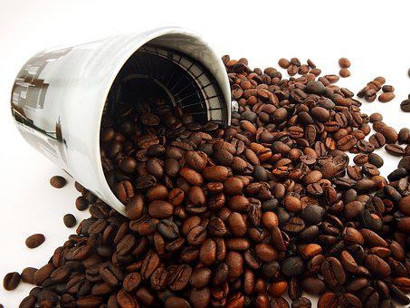 Giá cà phê trở lại xu hướng giảm, điều gì đang xảy ra? - Ảnh 4. Giá cà phê trở lại xu hướng giảm, điều gì đang xảy ra? - Ảnh 4.