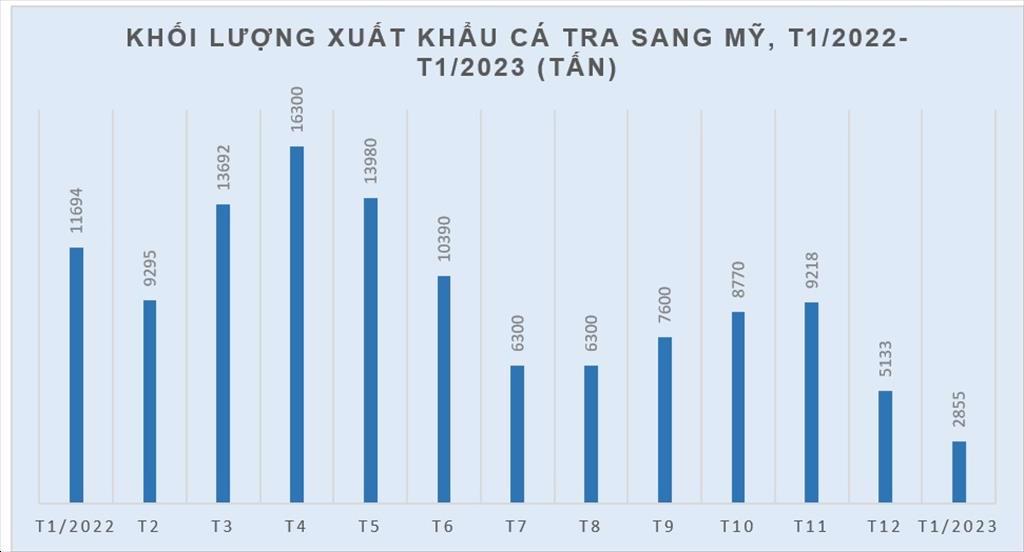 Vì đâu xuất khẩu cá tra sang thị trường Mỹ giảm sâu trong tháng 1/2023? - Ảnh 1.