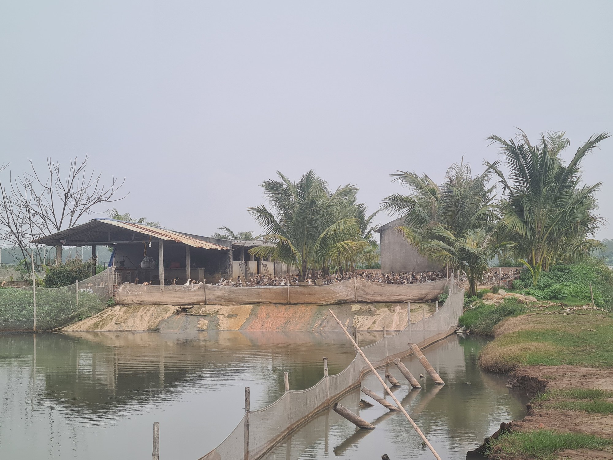 11 năm sau vụ cưỡng chế đất đai ở Tiên Lãng (Hải Phòng) ông Đoàn Văn Vươn bây giờ ra sao? - Ảnh 2.