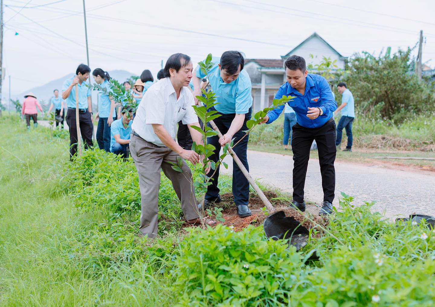 Agribank Quảng Ngãi hưởng ứng Chương trình vì tương lai xanh - thêm cây thêm sự sống - Ảnh 2.