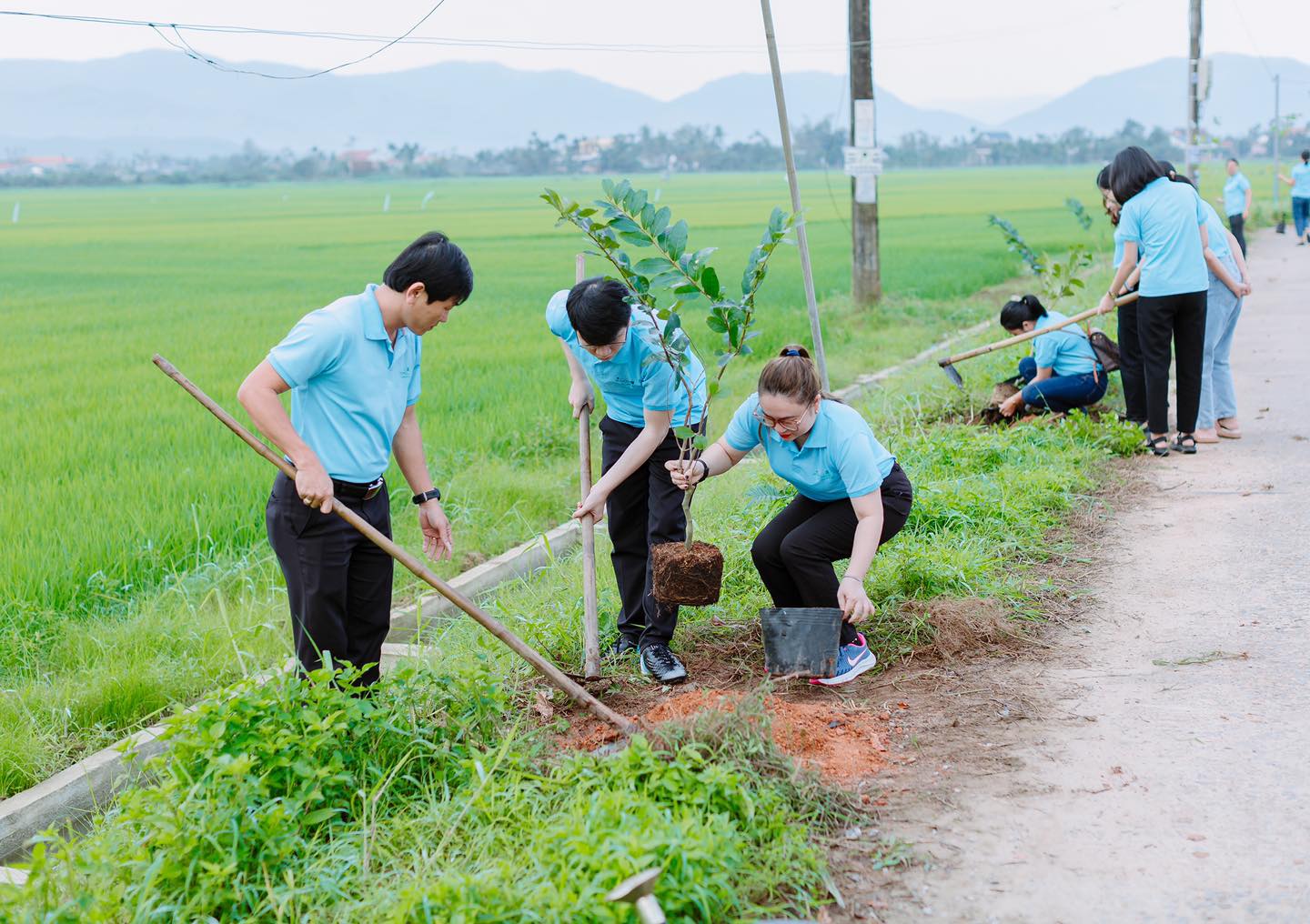 Agribank Quảng Ngãi hưởng ứng Chương trình vì tương lai xanh - thêm cây thêm sự sống - Ảnh 1.