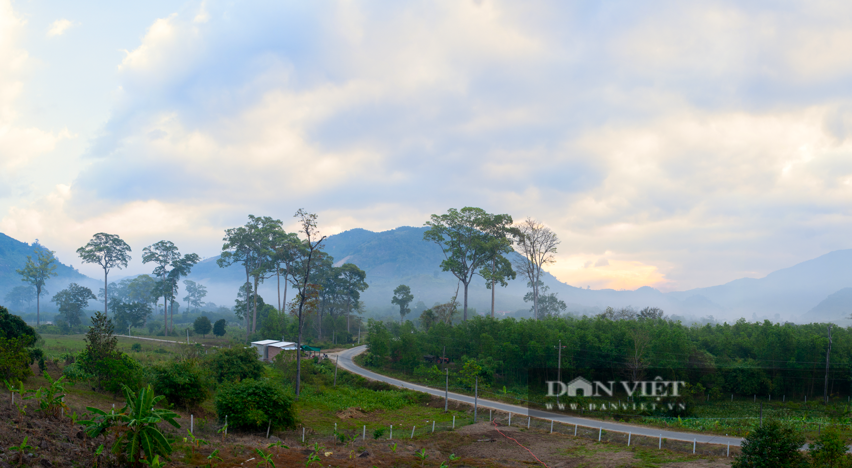 Khám phá Vườn Quốc gia Phước Bình ở Ninh Thuận (Kỳ 1): Xứ sương mù nơi miền nắng gió - Ảnh 1.