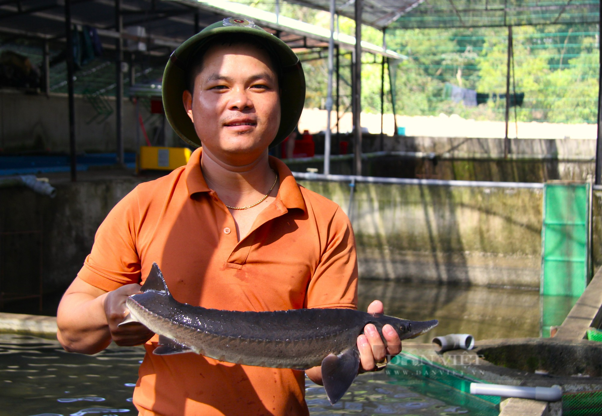 Khám phá vườn Quốc gia Phước Bình ở Ninh Thuận (Kỳ 4): Nơi nuôi con cá tầm lớn nhanh như thổi - Ảnh 5.