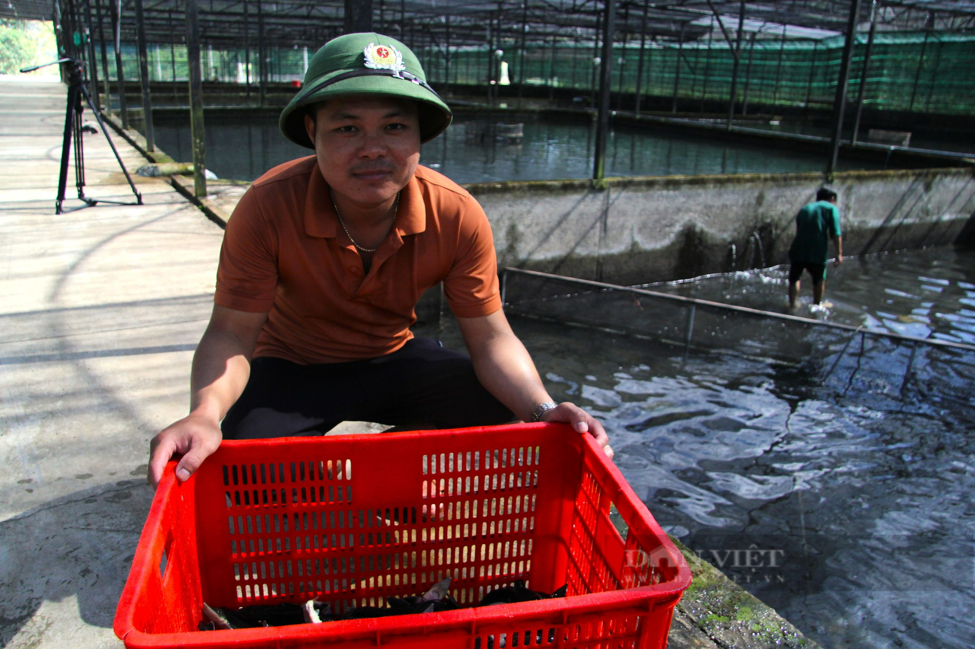 Khám phá vườn Quốc gia Phước Bình ở Ninh Thuận (Kỳ 4): Nơi nuôi con cá tầm lớn nhanh như thổi - Ảnh 8.