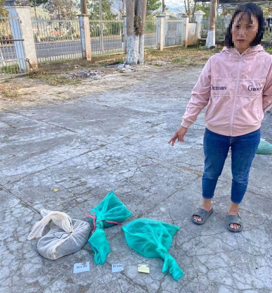 Một người phụ nữ ở Lâm Đồng bị bắt quả tang khi mua bán, tàng trữ nhiều động vật hoang dã - Ảnh 2.