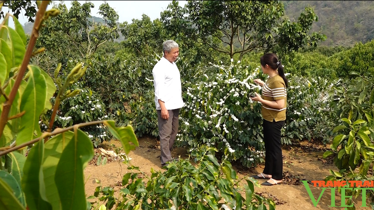 Đào ao thả cá, trồng cây ăn quả, lão nông cao nguyên lãi đậm - Ảnh 8.