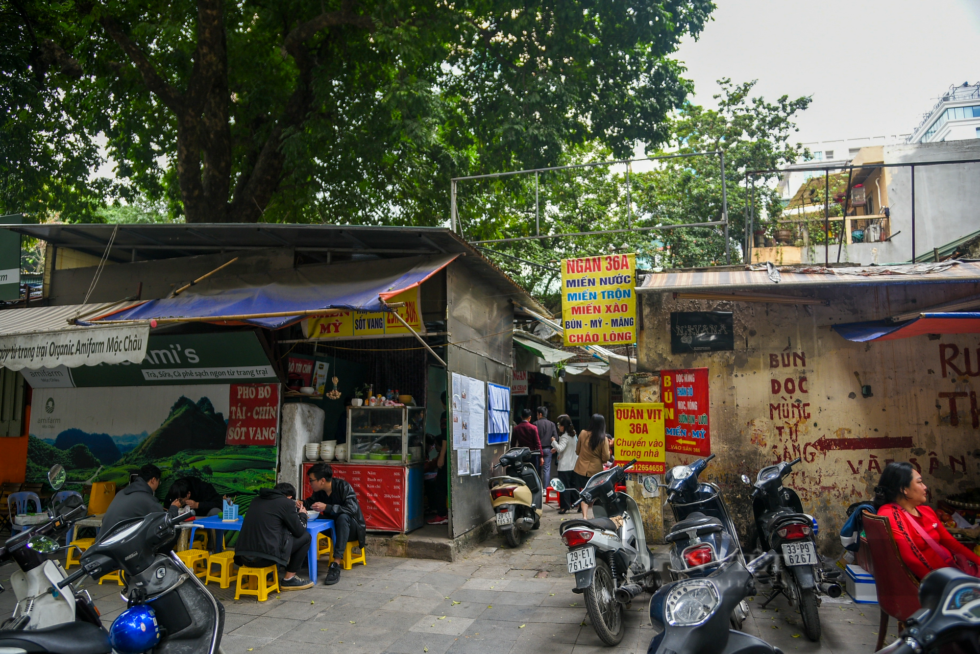 Hiện trạng khu &quot;đất vàng&quot; Hà Nội sẽ kiểm đếm để xây trường tiểu học Võ Thị Sáu - Ảnh 8.