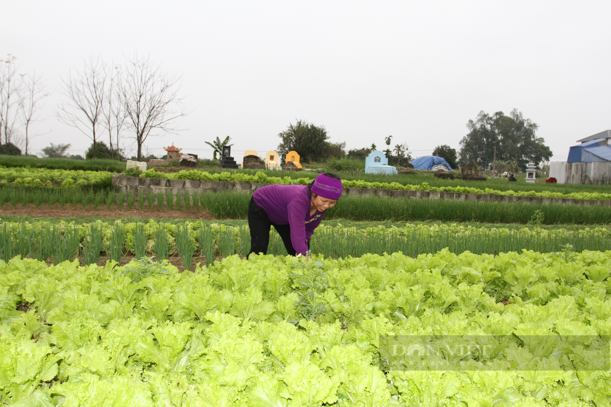 Xã này ở Thái Nguyên xây dựng nông thôn mới, đường làng ngõ xóm bê tông rộng khắp, bà con phấn khởi ủng hộ - Ảnh 4.