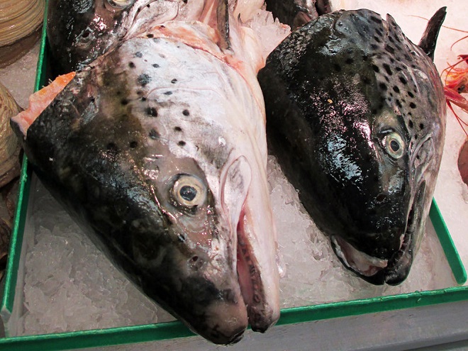 4 bộ phận của cá cực giàu dinh dưỡng, tốt cho sức khỏe sánh ngang yến sào nhưng 90% người Việt đều vứt bỏ - Ảnh 1.