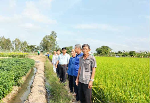 Đồng Tháp: Trồng lúa hữu cơ, chi phí giảm, lợi nhuận đảm bảo, nông dân khỏe - Ảnh 2.